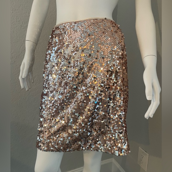 Gorgeous sequin skirt by Boston Proper - Picture 2 of 6